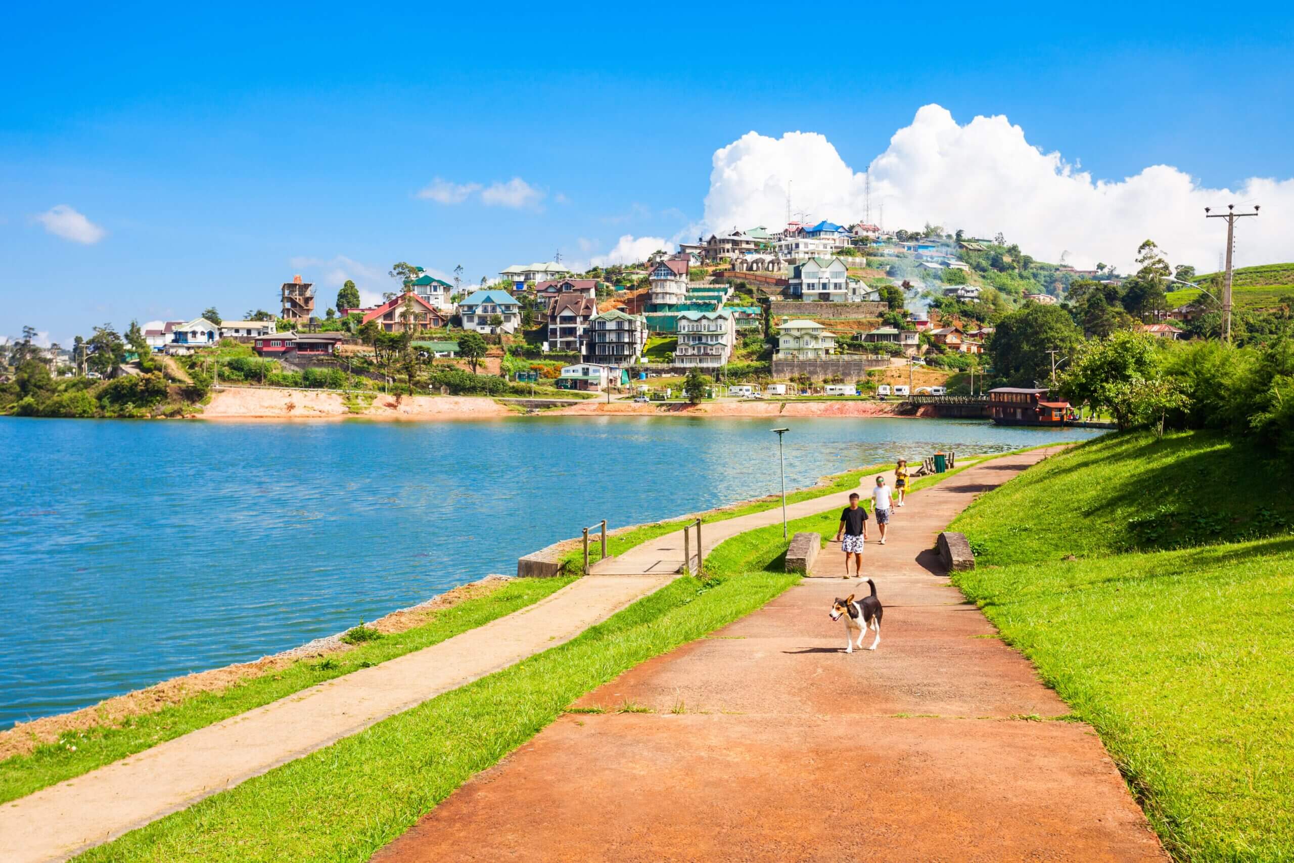 Nuwara Eliya map picture